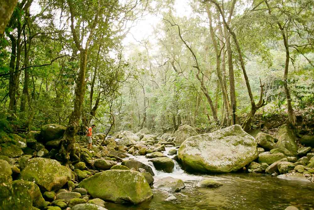 Zimbabwe Eastern Highlands